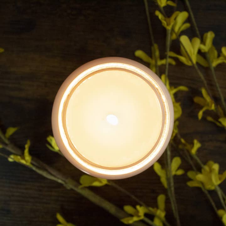 Milkhouse Candle Company - Wholesale Jar/Filled Candle - 26 oz Farmhouse Jar Candle: Autumn Orchard