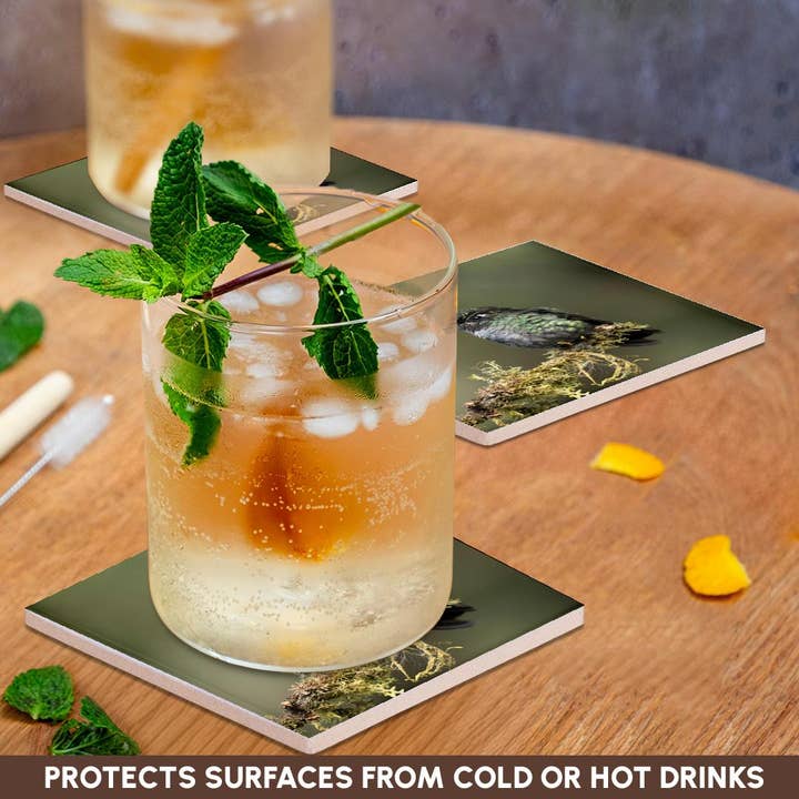 3dRose - Wholesale Coasters - 3dRose, Talamanca Hummingbird, Costa Rica, Central America, Coaster2