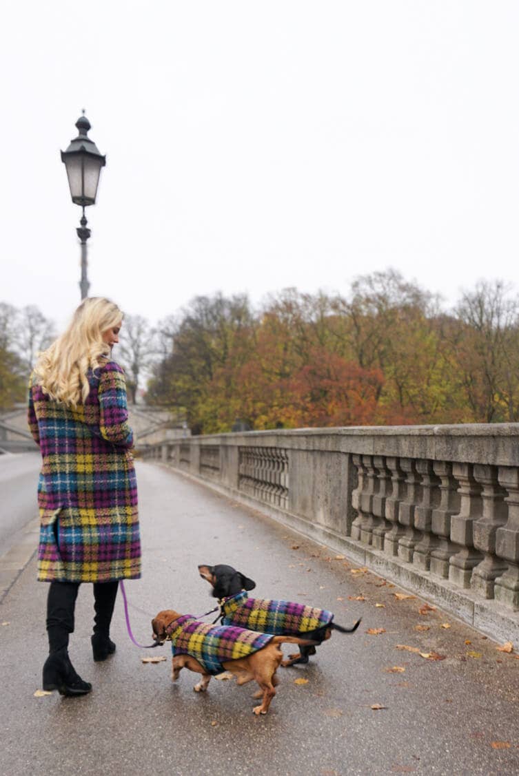 Dachshund Couture - Wholesale Pet Coat - Dog - Dachshund coat Franz Marc1