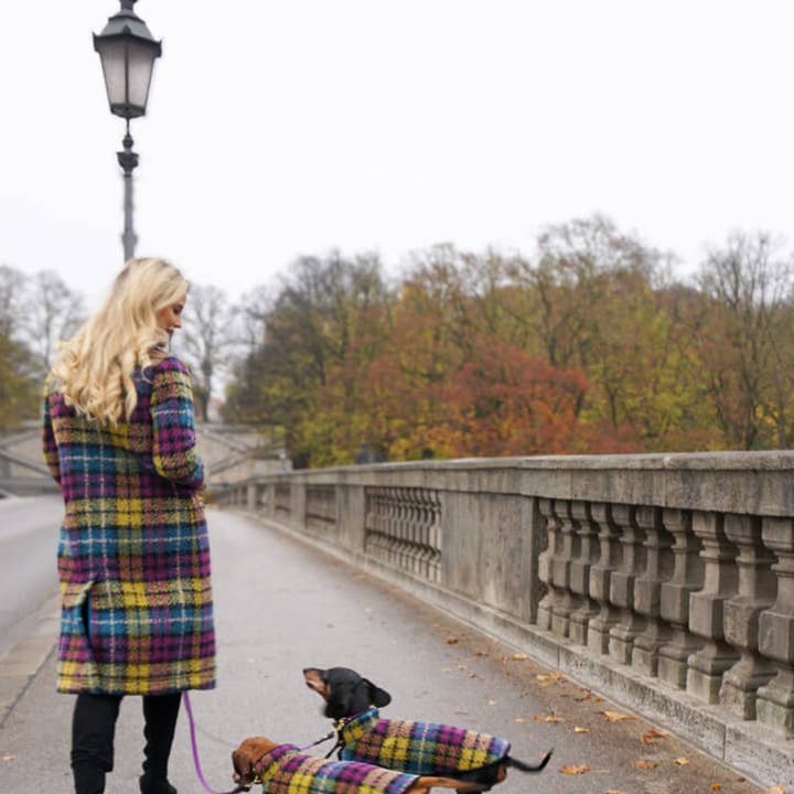 Dachshund Couture - Wholesale Pet Coat - Dog - Dachshund coat Franz Marc1