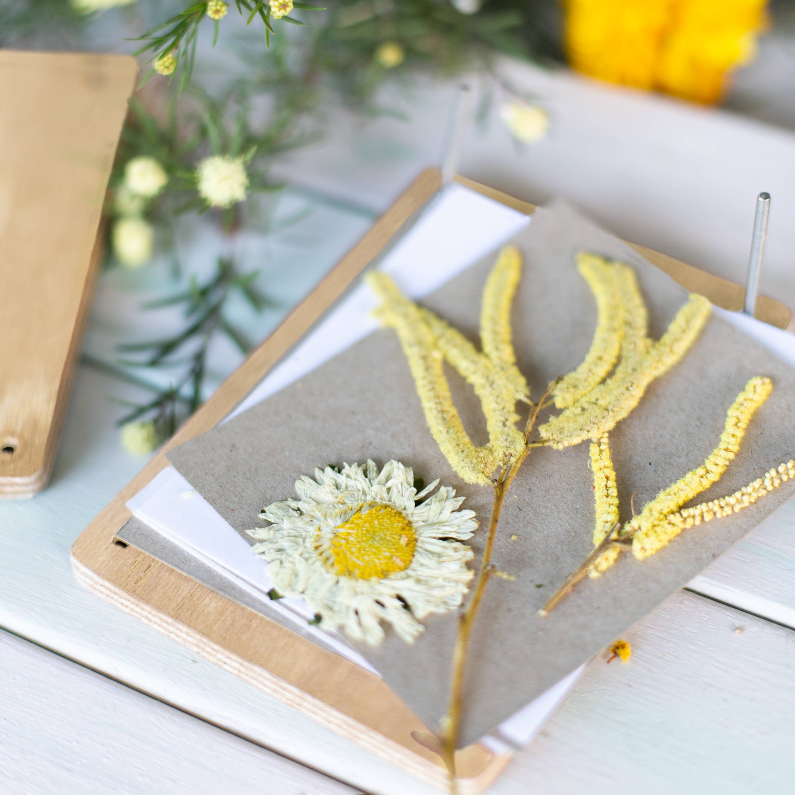 Poppy & Daisy Designs - Vente Kit de bricolage - Presse à fleurs8