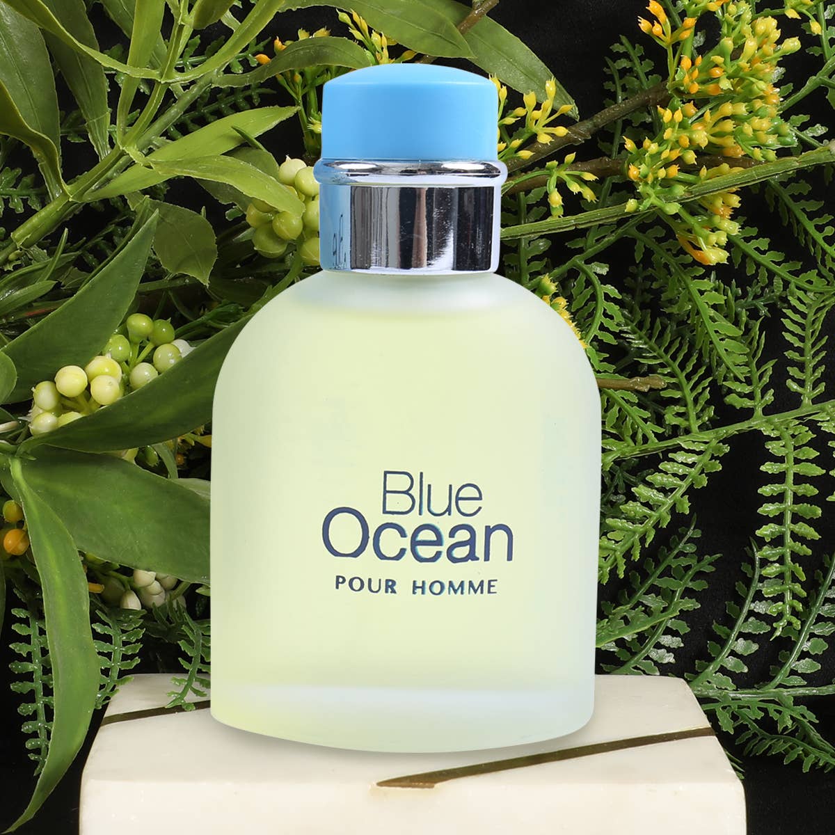 MYS Wholesale Inc - Wholesale Perfume/Eau de Toilette - Blue Ocean Spray Cologne Eau de Toilette For Men2