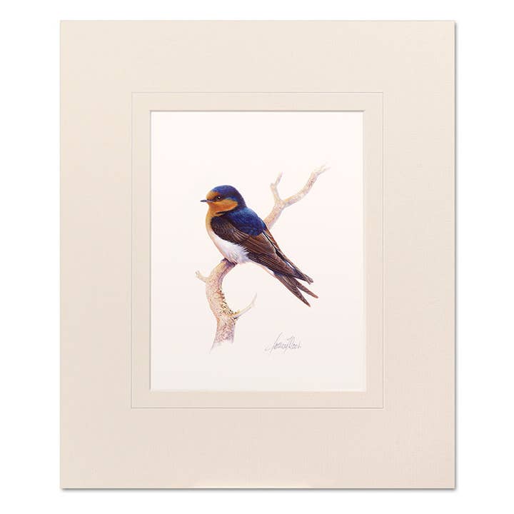 Impression montée - Welcome Swallow pour la vente par Jeremy Boot Collections
