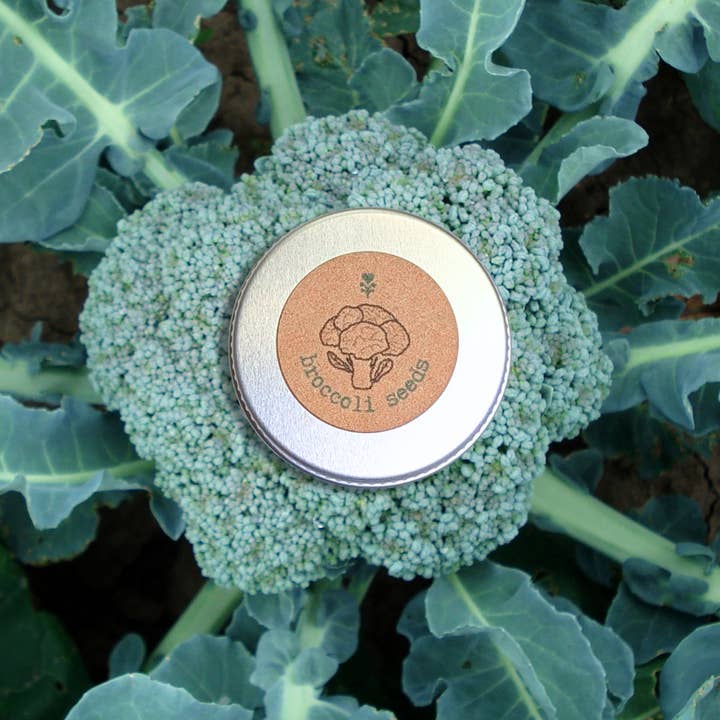 Plantflix - Wholesale Plant Seeds - Organic Vegetable Seed Gift Tins11