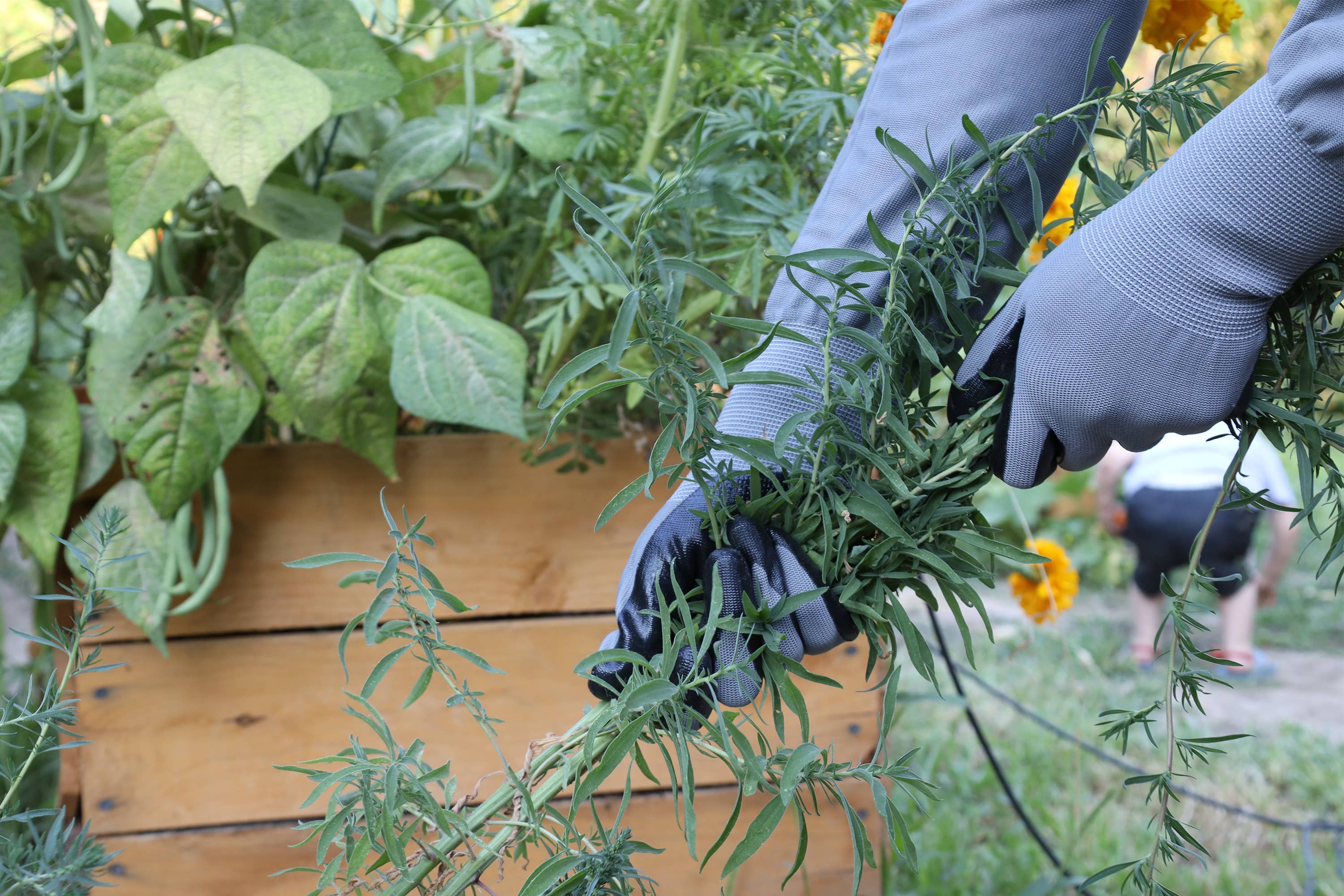 CharGuy Gear - Wholesale Garden Gloves - Long Sleeve Garden Work Gloves Protection Sleeves9