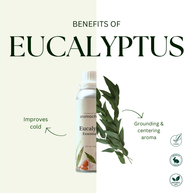 Aromachology - Wholesale Essential Oil - Organic Eucalyptus Essential Oil For Hair2
