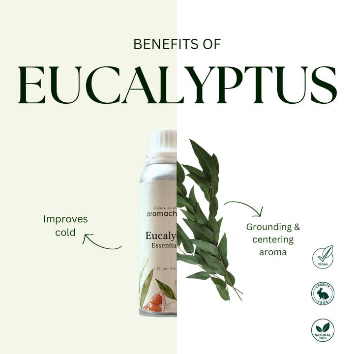 Aromachology - Wholesale Essential oil - Organic Eucalyptus Essential Oil For Hair2