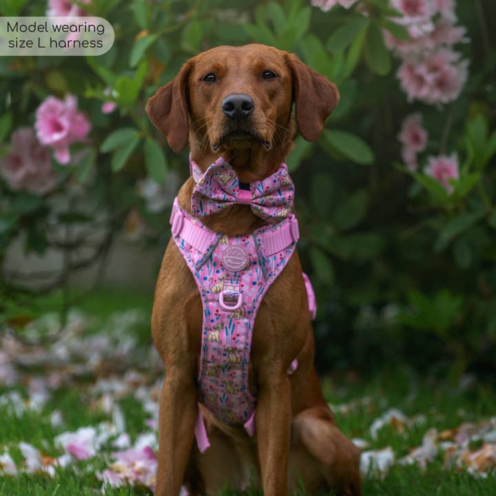 Pawsome Paws - Wholesale Pet Harness - Dog - Disney© Tough Trails™ Harness - Nala