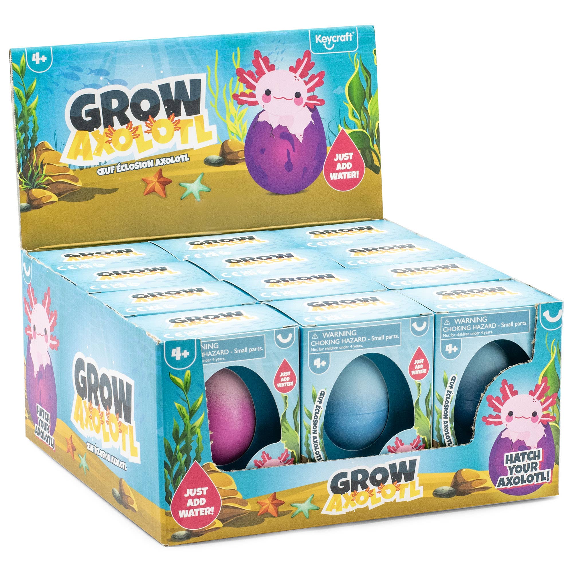 Keycraft - Wholesale Classic Toy - Kids - Grow Axolotl Toy4