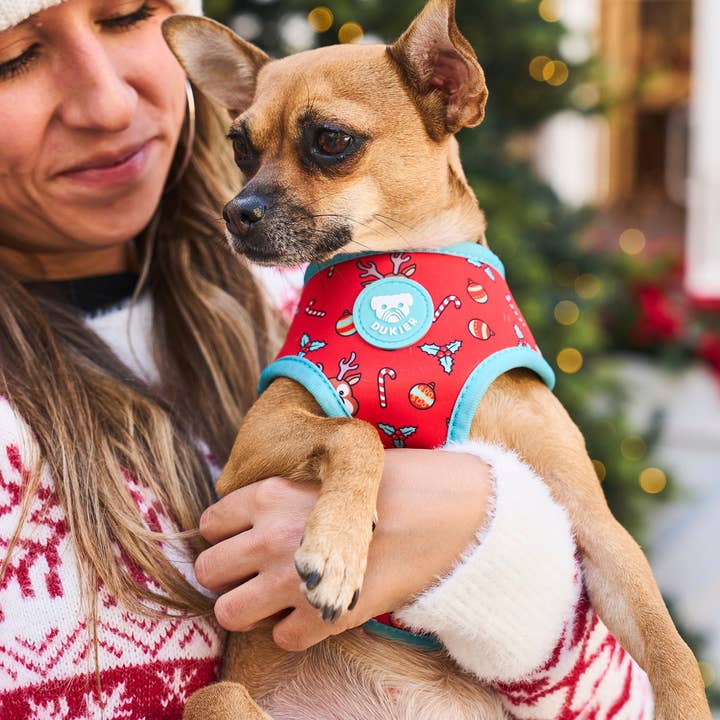 Dukier - Wholesale Pet harness – Dog - REVERSIBLE HARNESS FOR DOG XMAS JUMPER2