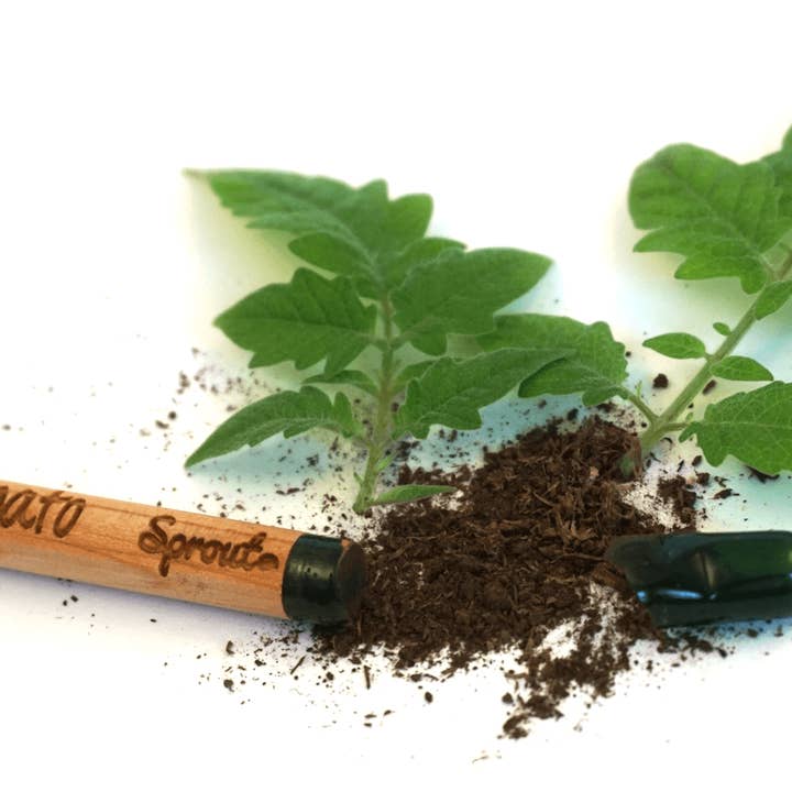 BLOOM your message - Wholesale Plant Seeds - Set of 100 plantable growing pencils incl display box5