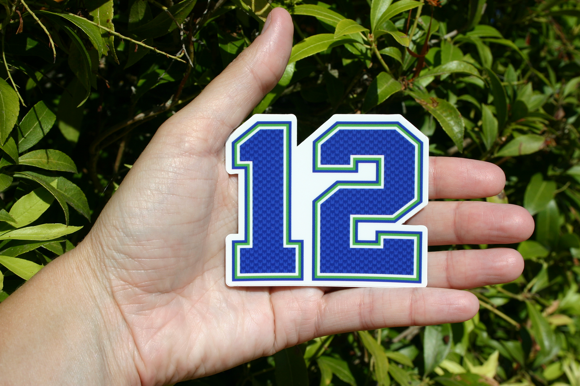 Discovery Stickers - Wholesale Sticker - Seattle Seahawks 12th Man Vinyl Sticker6