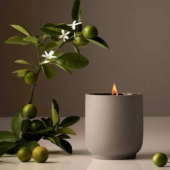 Homecourt - Wholesale Jar/Filled Candle - Signature Candle | Half Case4