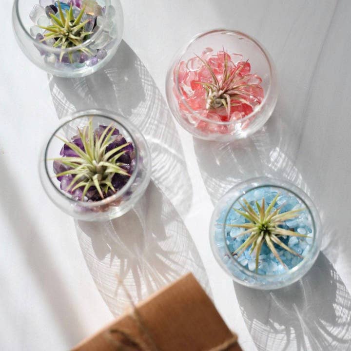 The Simply Crafty Shop - Wholesale Terrarium - Mini Bubble Terrarium Kit- Semi-Precious Stone