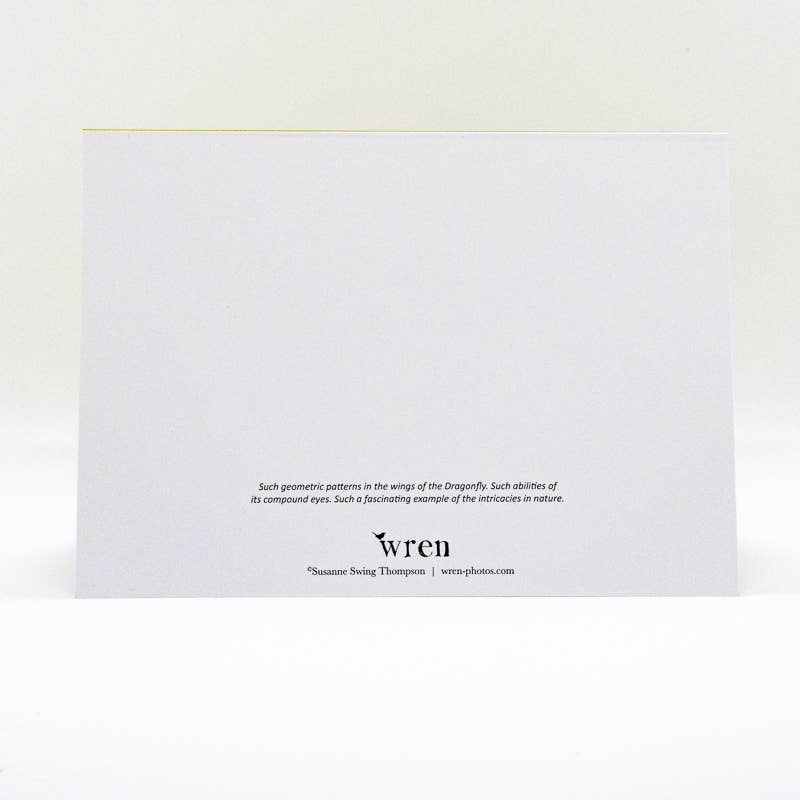 Wren - Wholesale Everyday Greeting Card - Dragonfly and Coneflower (Blank inside) Greeting Card2