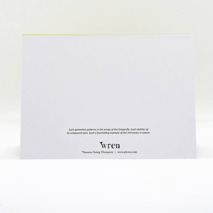 Wren - Wholesale Everyday Greeting Card - Dragonfly and Coneflower (Blank inside) Greeting Card2