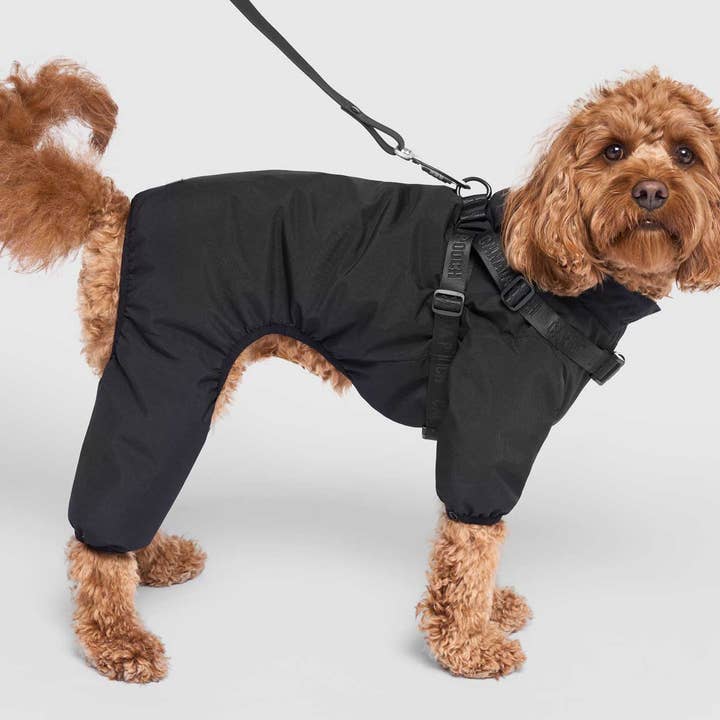 Traje de Nieve con Arnes Integrado para Perro para venta al por mayor de Canada Pooch