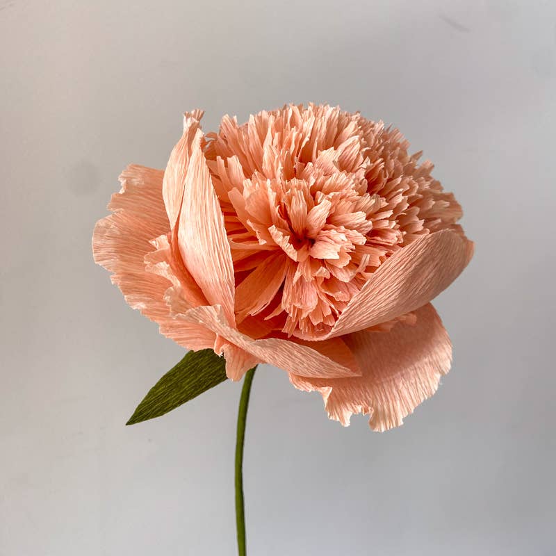 Papercraft Miracles LLC - Vente Fleurs artificielles - Fleur de pivoine charme en papier crépon (petite)8