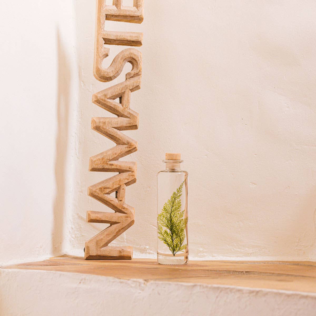 Theophile Berthon - Wholesale Live Plant - The Tabalia Fern Herbarium - submerged plant1