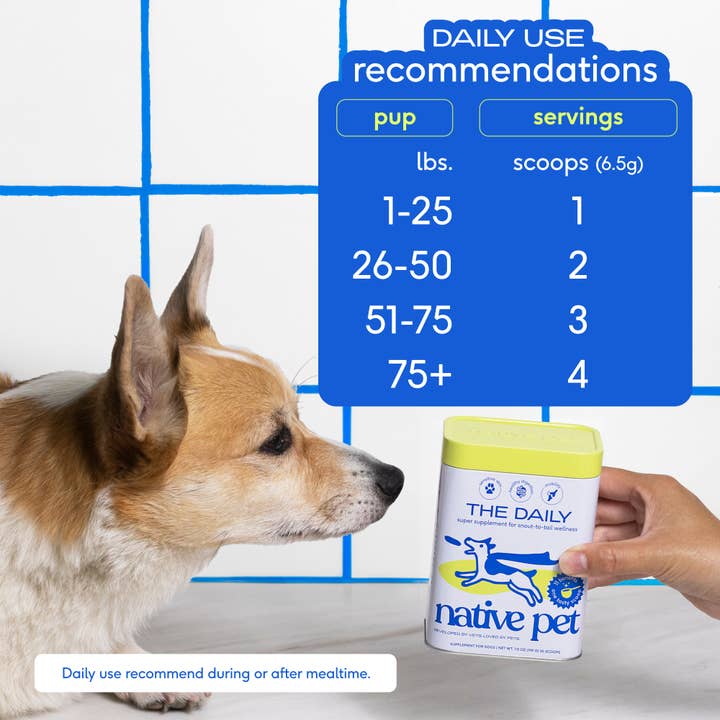 Native Pet - Wholesale Pet Supplement - Dog - The Daily Powder Supplement, 11-in-1 Multivitamins for Dogs