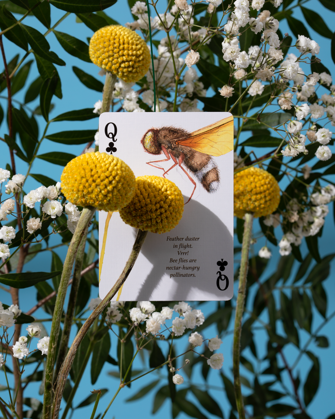 Art of Play - Vente Jeu de cartes - Cartes à jouer Eastern Forest3