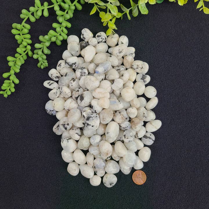 Meraki Gemstones - Wholesale Spiritual Stone/Crystal - Rainbow Moonstone Tumbled Stones 20-25mm (0.5kg/1.1 lbs.) 2