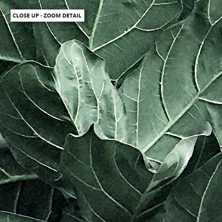 PRINT AND PROPER - Wholesale Art print - Fiddle Leaf Fig I Print. Watercolour Botanical Wall Art2