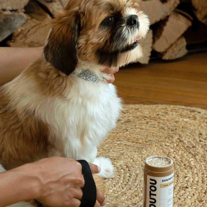 Toutou Petcare - Wholesale Pet Shampoo - Dog - Certified organic dry shampoo4
