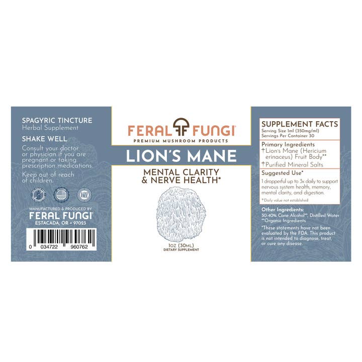 Feral Fungi - Wholesale Tincture - Lion's Mane (Hericium erinaceus) Spagyric Tincture