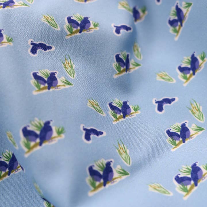 BlueQuail Clothing Co. - Wholesale Button Down Shirt - Kids - Quail Woodblock Long Sleeve Shirt3