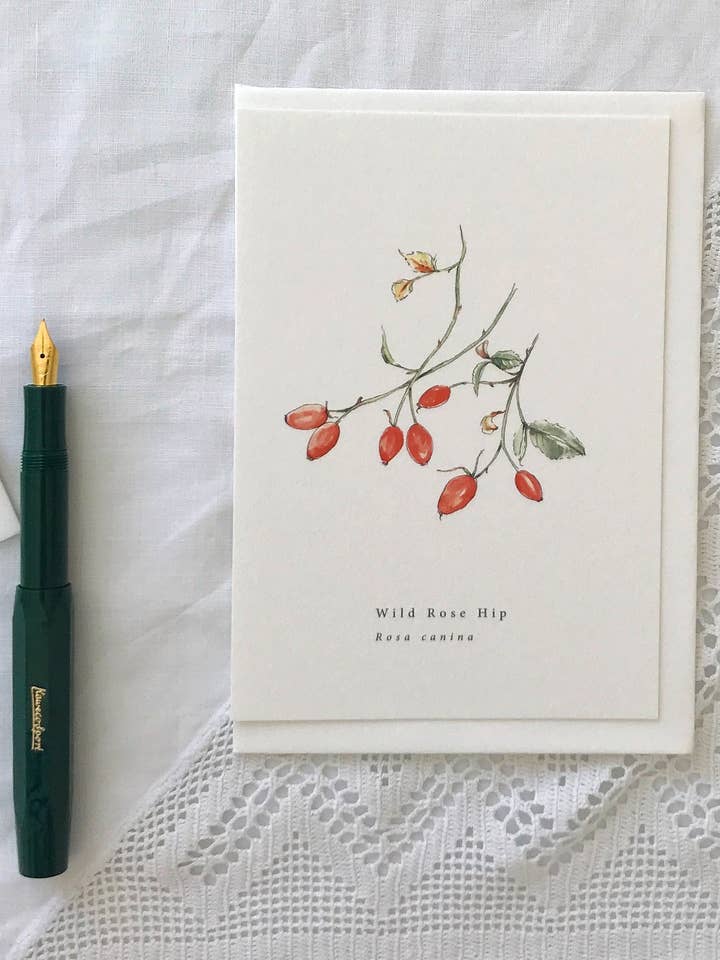 Vild nypon botaniskt illustrationskort för wholesale av Annie Brougham Paper Goods.