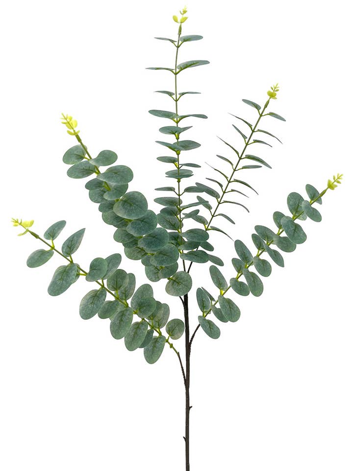 EUCALYPTUS X5 TACT.NAT. GRAY 90cm for wholesale by Aguilar Málaga