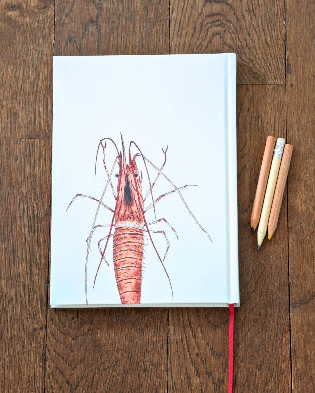 Varek Illustrations - Venta al por mayor Cuadernos - Cuaderno A5: La Gamba2