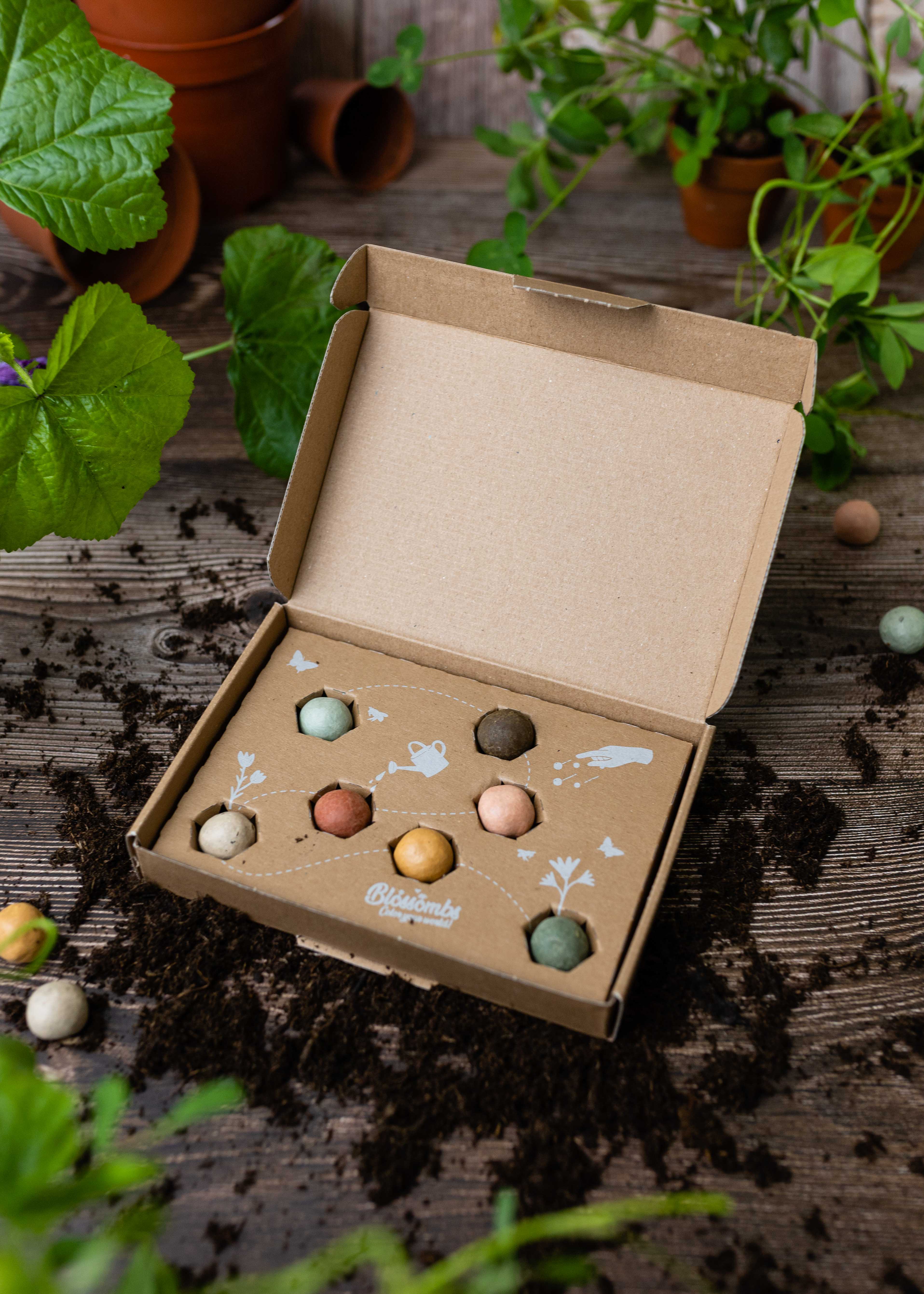 Blossombs - Wholesale Plant Seeds - Small Organic Gift Box with 7 seed bombs4