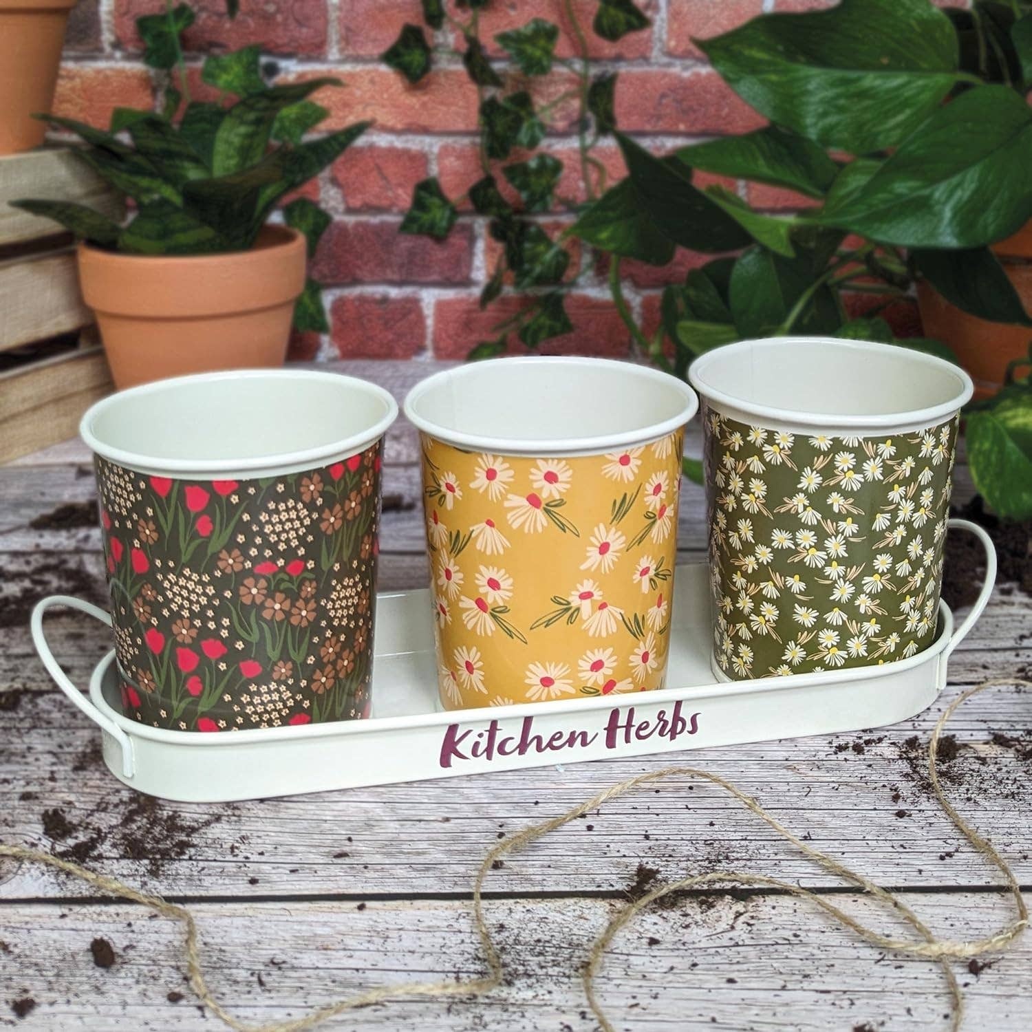 Robert Frederick Ltd - Wholesale Plant Pot - Willow and Belle  Kitchen Herb Pots and Tray - Set of 3 Enamel Plant Pots1