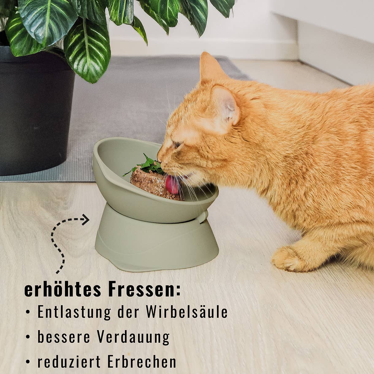 ne&no - Wholesale Pet Bowl - Cat/Dog - ne&no® Elevated Silicone Cat Bowl + Adjustable Tilt9