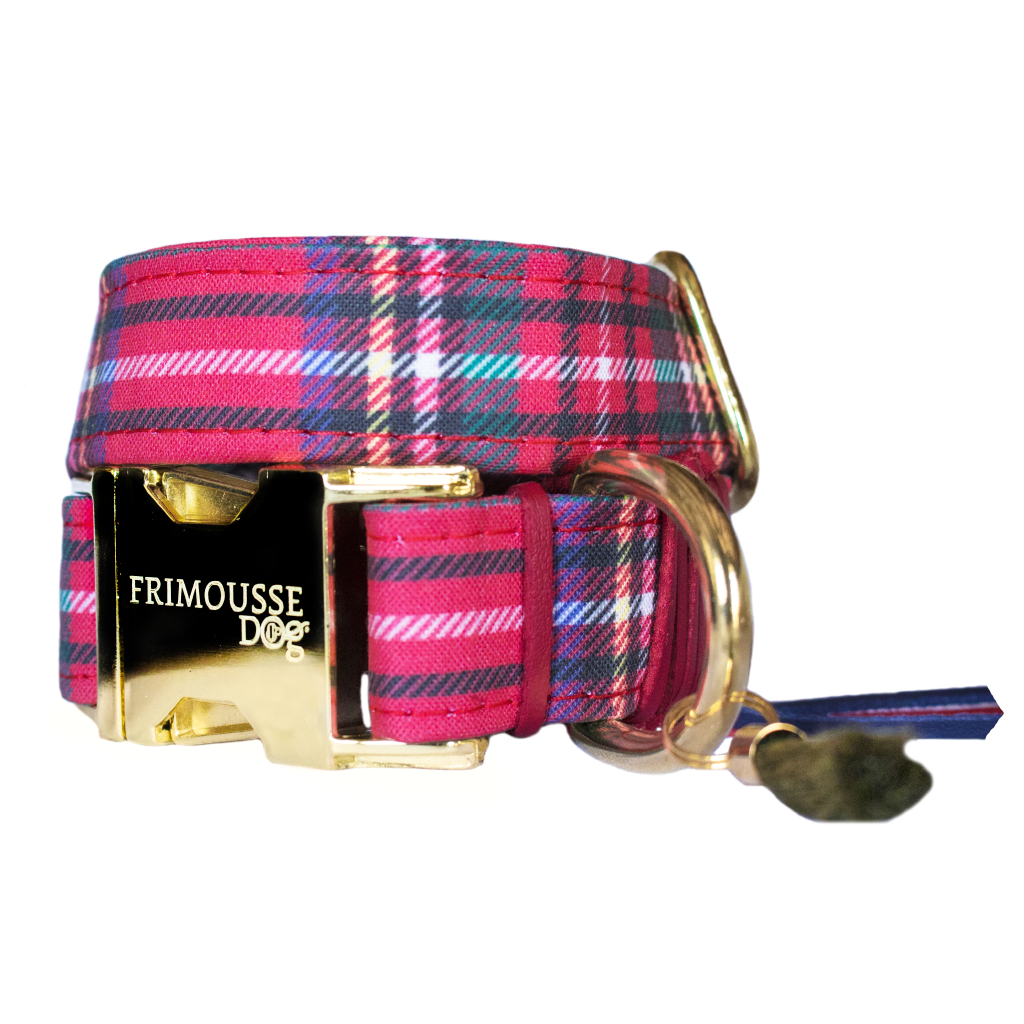 Frimousse Dog – Großhandel Haustierhalsband – Hund – „Watson“ schottisches verstellbares Hundehalsband0