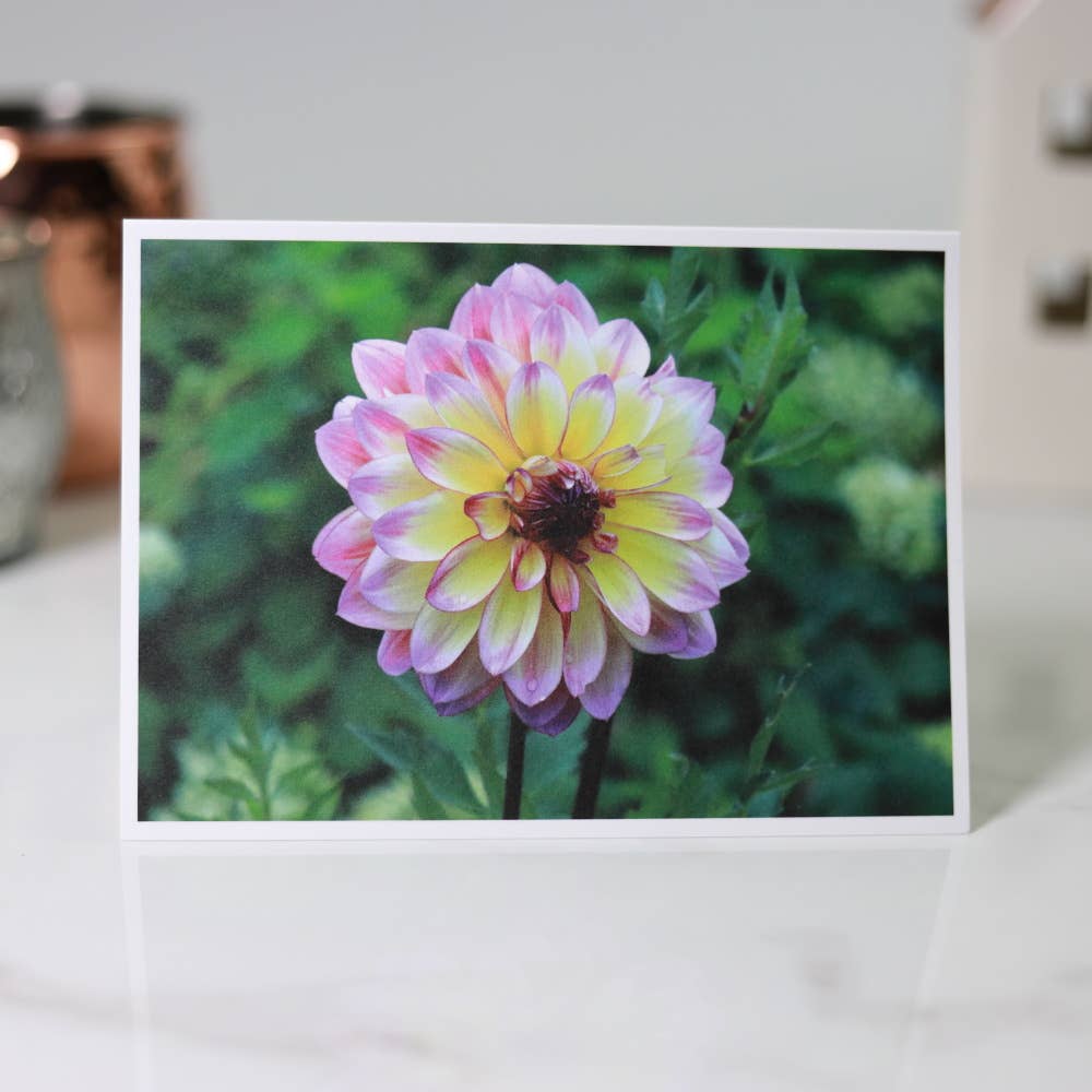 New England Prints - Wholesale Stationery/Notecard Set - Box of 5 All Occasion Summer Bloom Blank Note Cards9