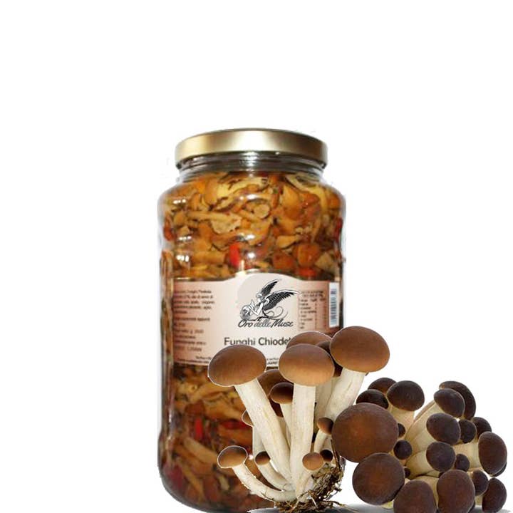 Calabria da Gustare - Wholesale Olives - Calabrian chiodini chiodetti mushrooms in oil Made in Italy