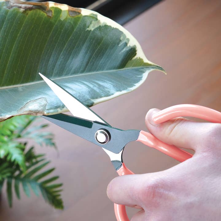 Bubblegum Stuff US - Wholesale Garden Tool - Houseplant Scissors