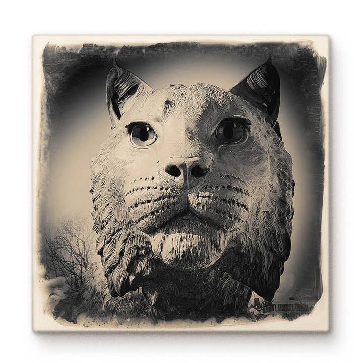 Wildcat Close-up for wholesale by Cityscape Tiles