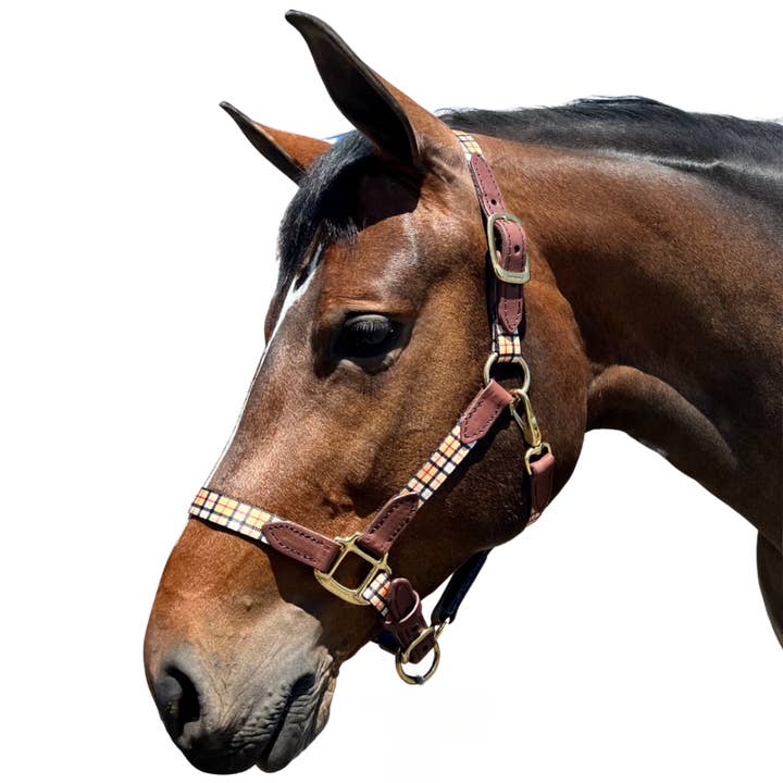 Intrepid International - Wholesale Horseback Riding Gear - 1" Highland Plaid Nylon Halter with Leather Accents