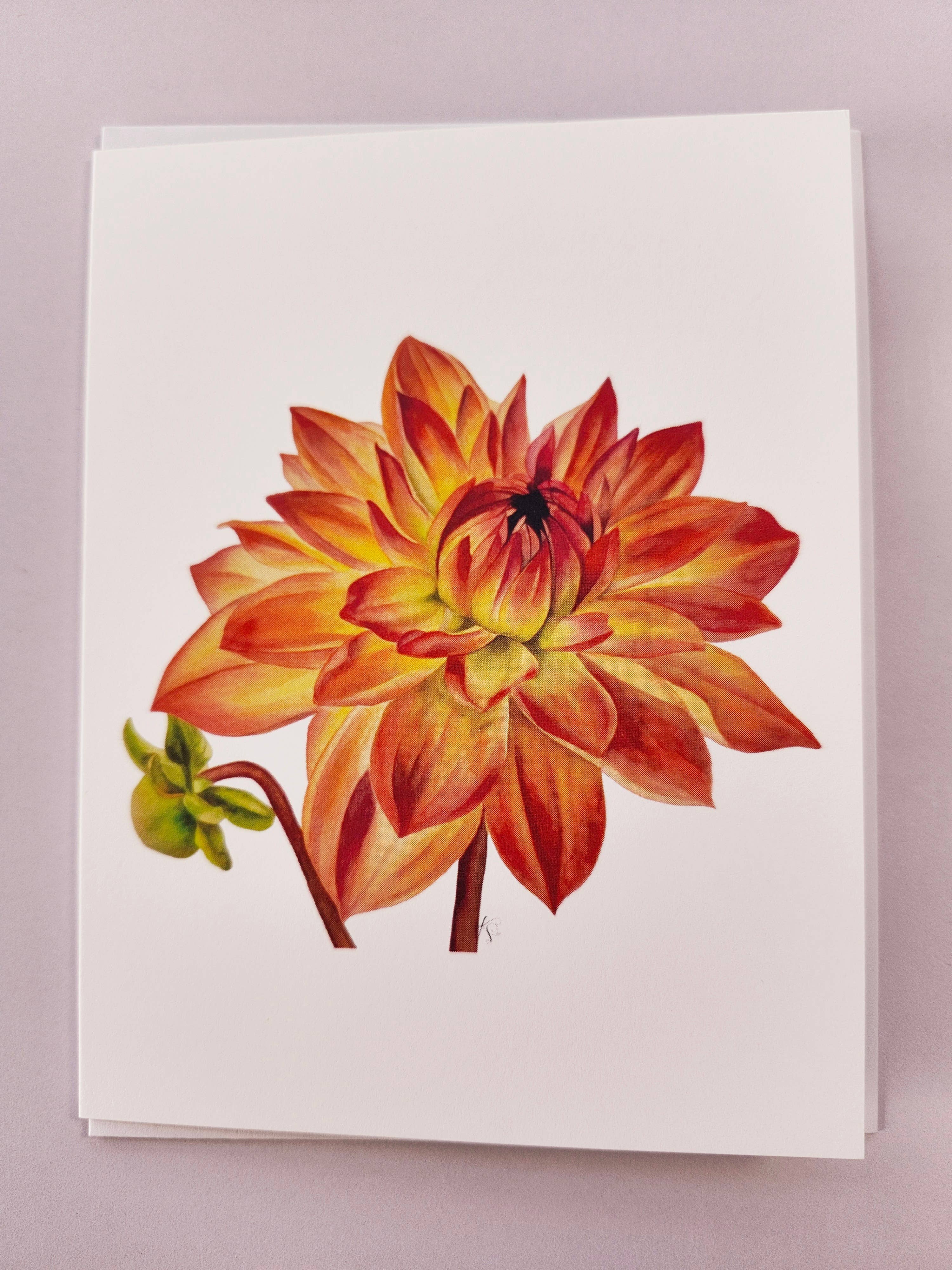 Redbriar Studio - Wholesale Stationery/Notecard Set - Notecards16