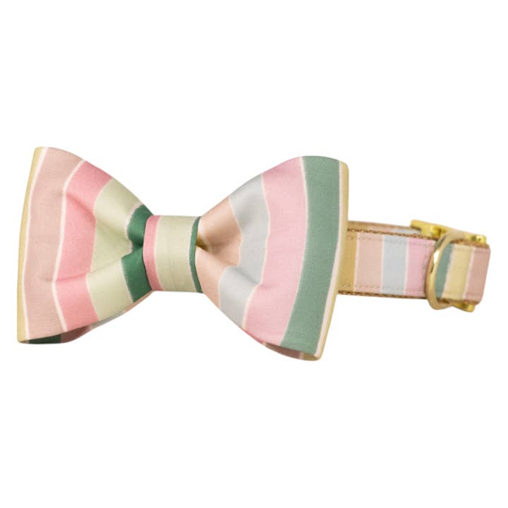 Sandy Stripes fluga hundhalsband för wholesale av Crew LaLa