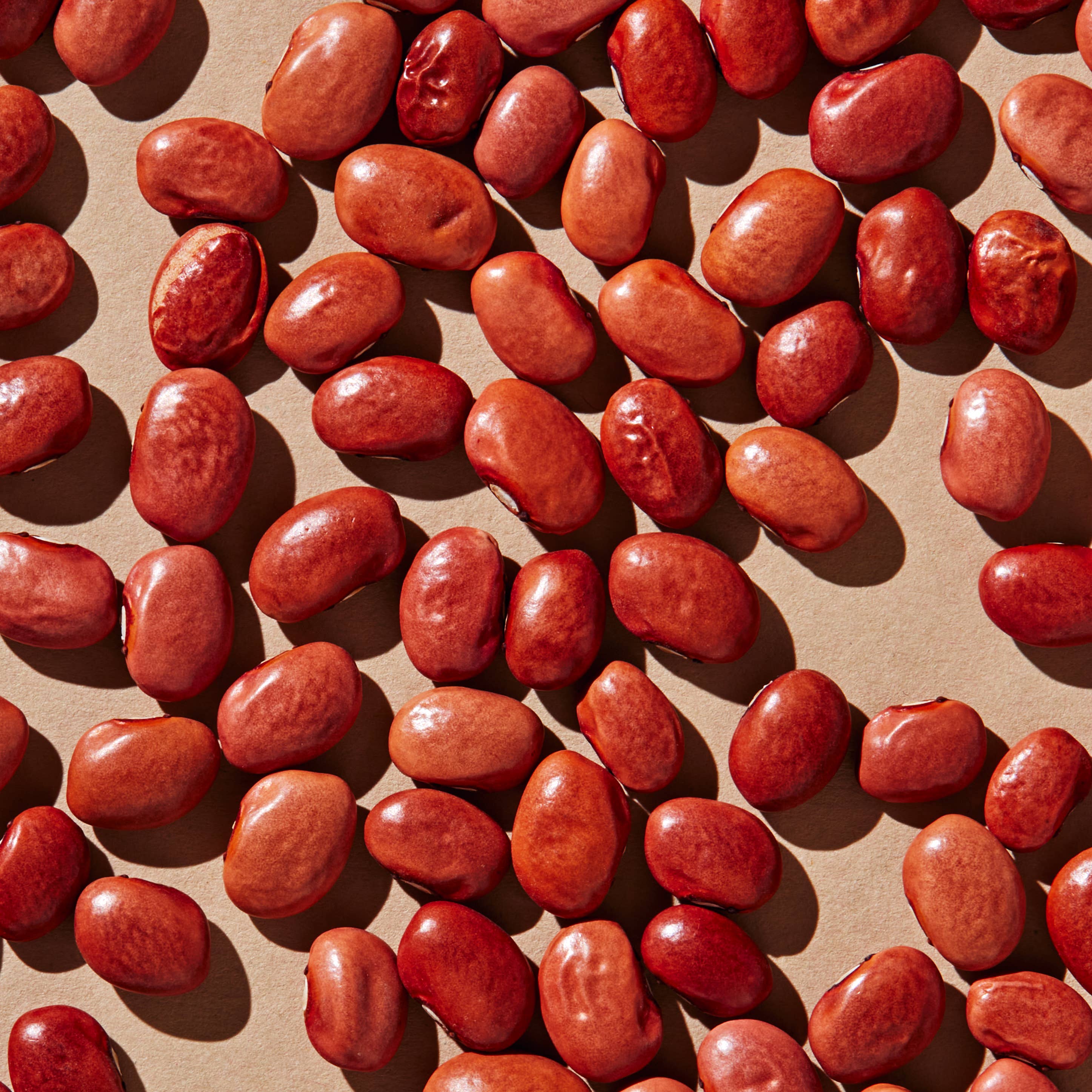 Beanstory - Wholesale Beans - Organic King City Pink Beans1