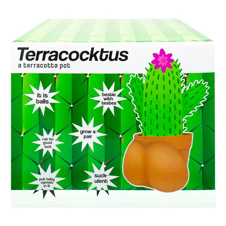 Cluster Folks - Vendita all'ingrosso Vasi per piante - Vaso in terracotta Terracoctus