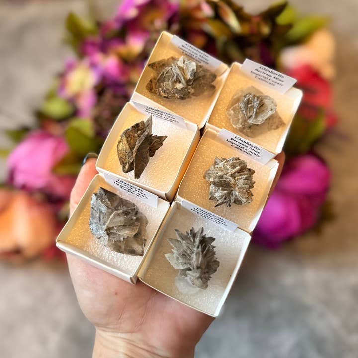 Glauberit mineralprov från Bertram-gruvan, Kalifornien för wholesale av Mandala Gems