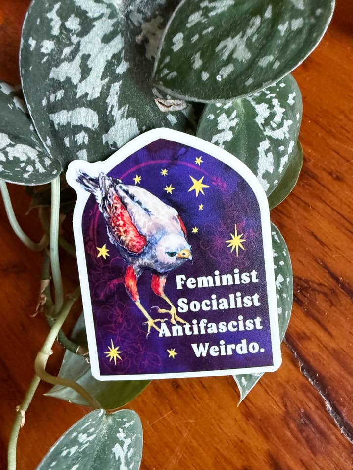 Féministe Socialiste Antifasciste Bizarre : Autocollant Féministe pour la vente par Fabulously Feminist
