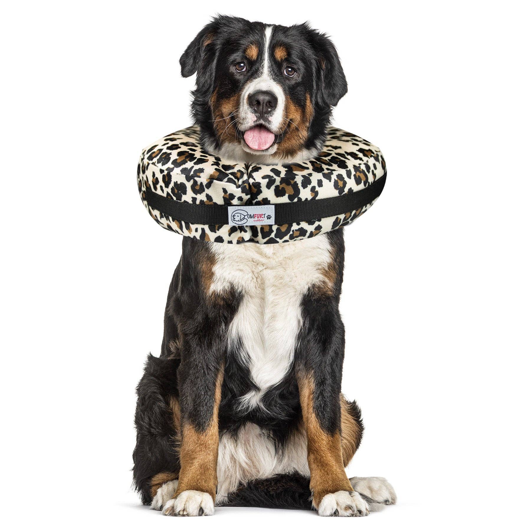 Comfurt Collar - Wholesale Pet Collar - Cat/Dog - Cheetah - Pet Recovery Collar6