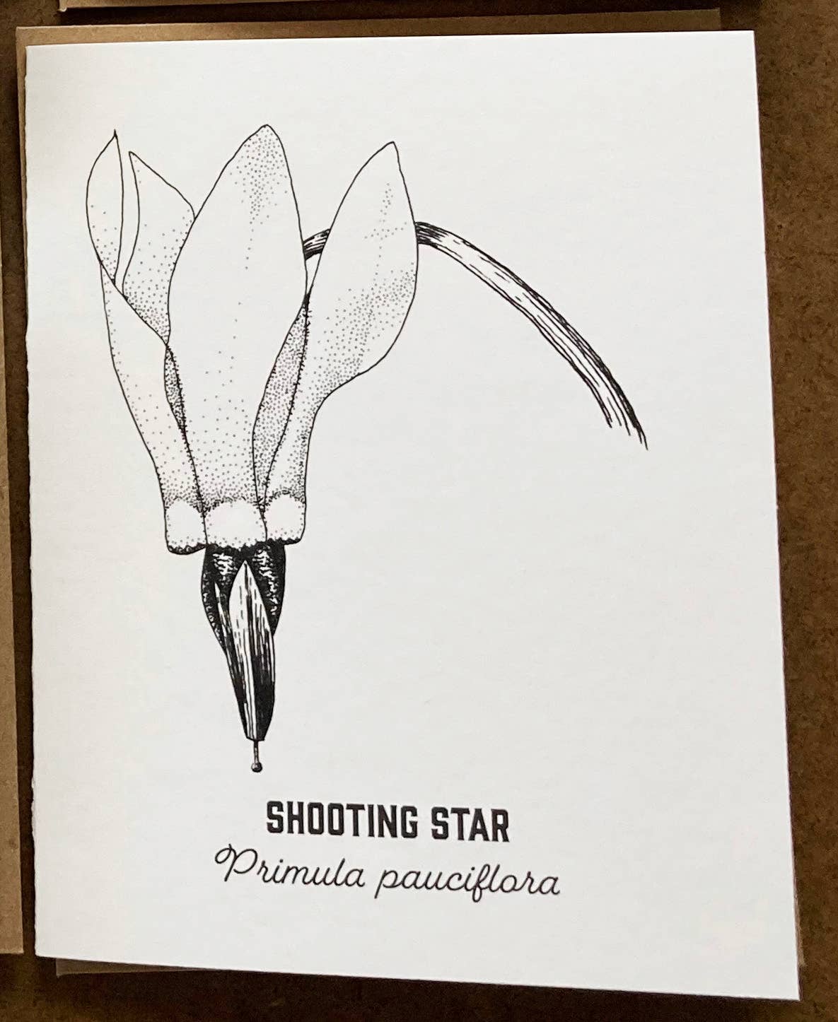 Madrona Press - Wholesale DIY Craft Kit - Watercolor Card Kit - 1 Wildflower Card10